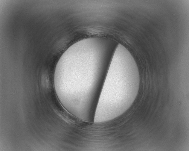 X0000067500408200604071028