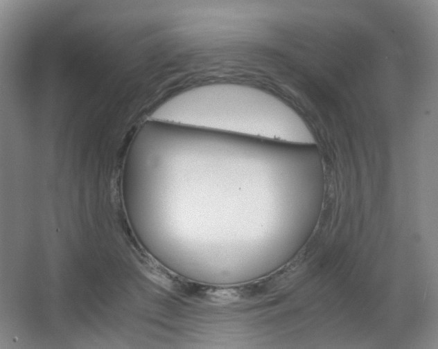 X0000067500409200604071028