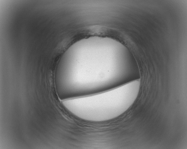 X0000067500413200604071028