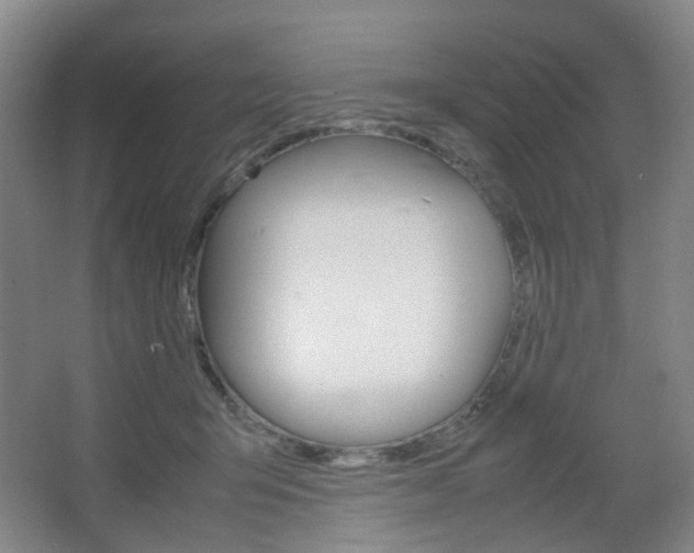 X0000067500415200604071028
