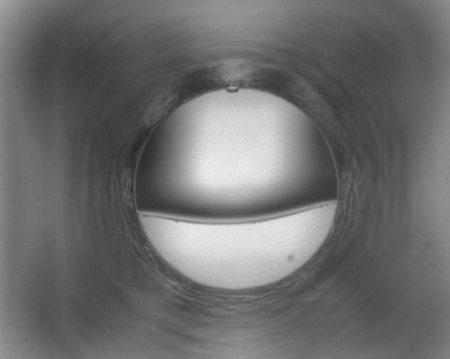 X0000067500421200604071028