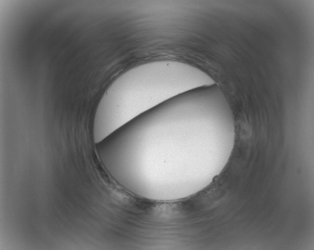 X0000067500422200604071028