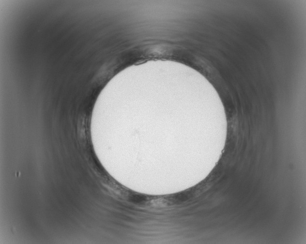 X0000067500423200604071028