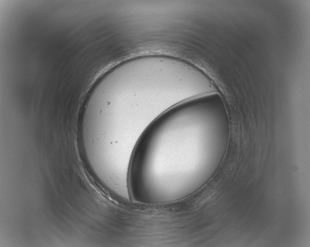 X0000067500434200604071027