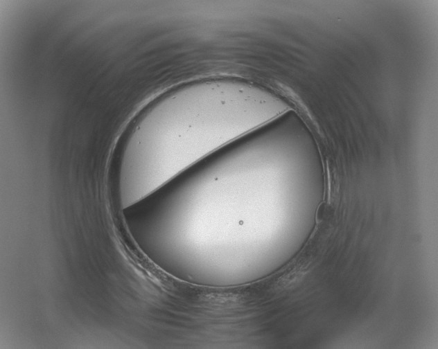 X0000067500435200604071027