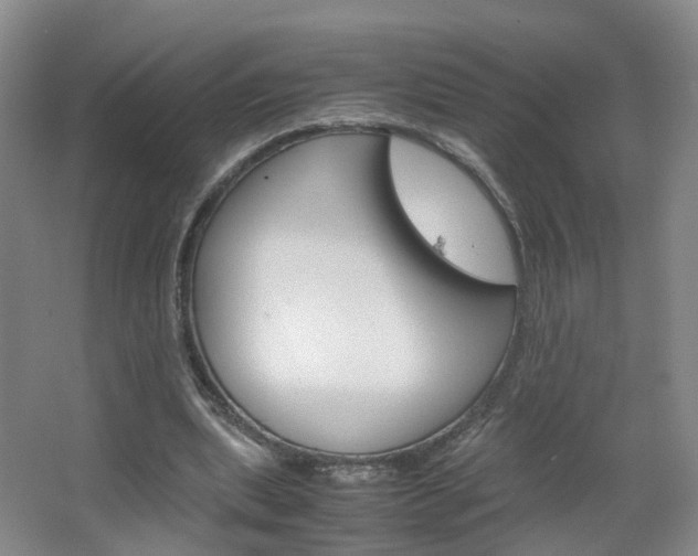 X0000067500439200604071027