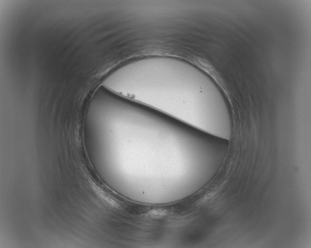 X0000067500441200604071027
