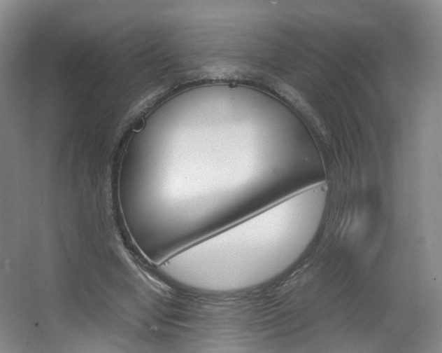 X0000067500442200604071027