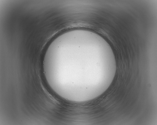 X0000067500448200604071027