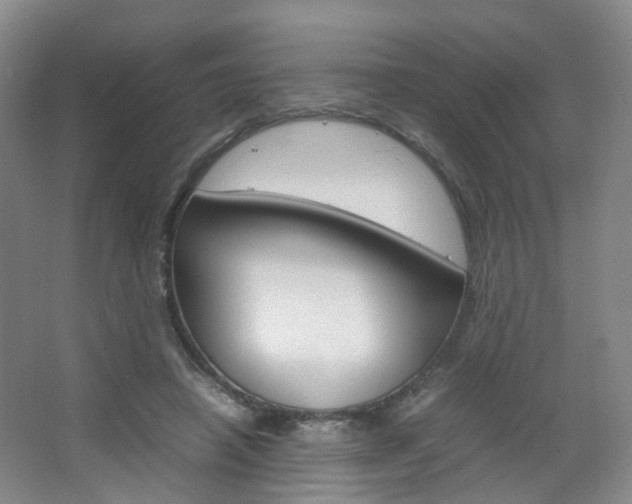X0000067500450200604071027