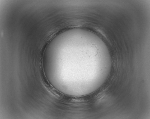 X0000067500455200604071027