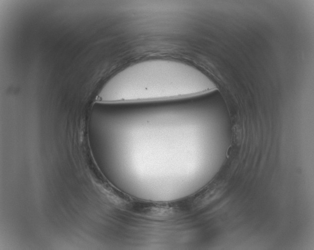 X0000067500458200604071027