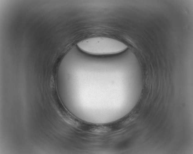 X0000067500459200604071027