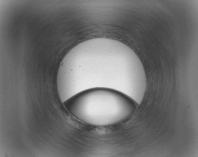 X0000067500464200604071027