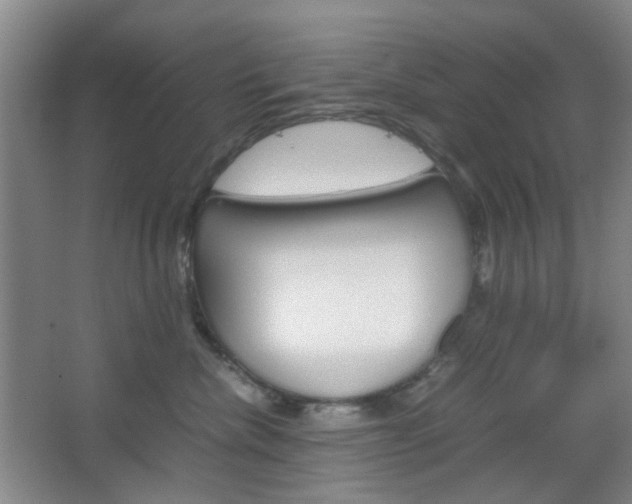 X0000067500476200604071028