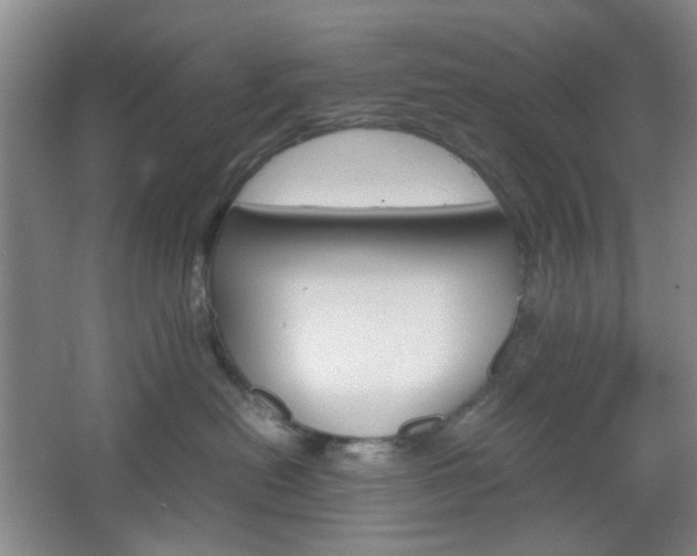 X0000067500478200604071028