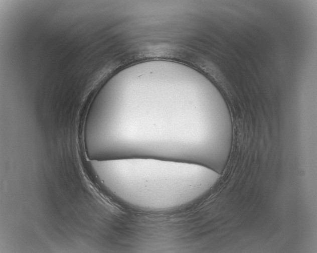 X0000067500482200604071027