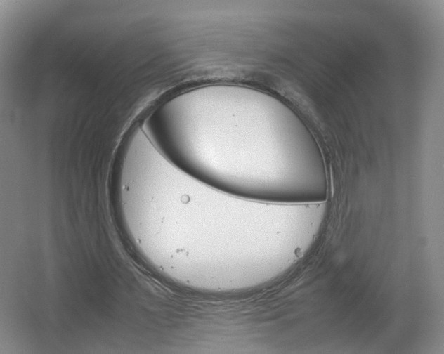X0000067500483200604071027