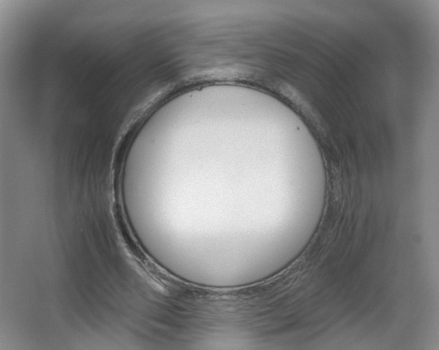 X0000067500486200604071027