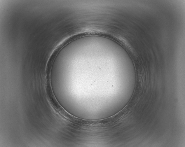 X0000067500488200604071027
