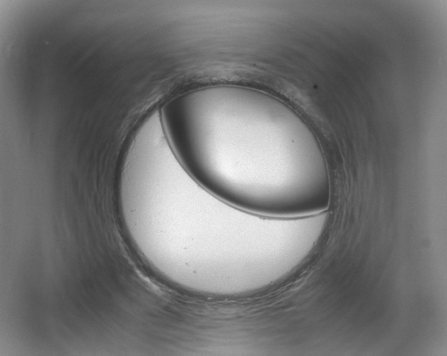 X0000067500489200604071027