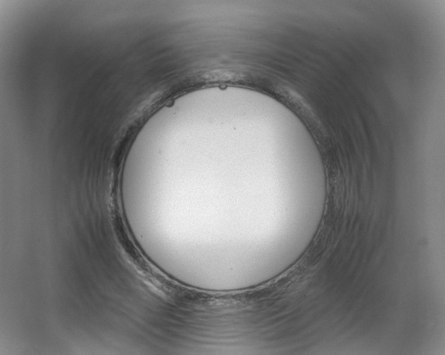 X0000067500490200604071027
