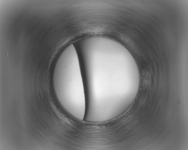 X0000067500494200604071027