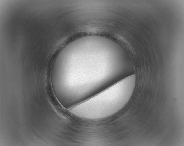 X0000067500496200604071027