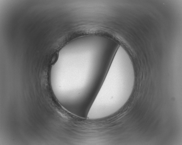 X0000067500497200604071027