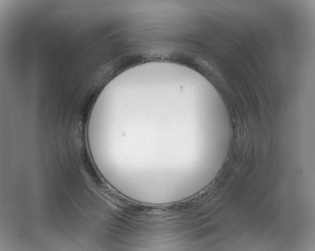 X0000067500498200604071027