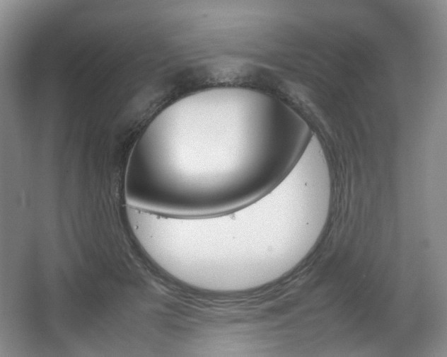 X0000067500505200604071026