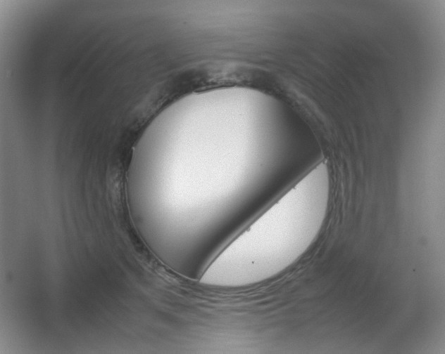 X0000067500513200604071026