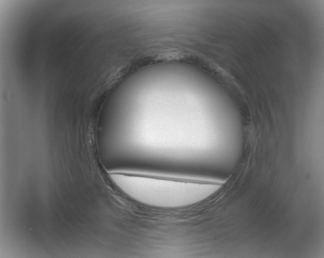X0000067500517200604071026