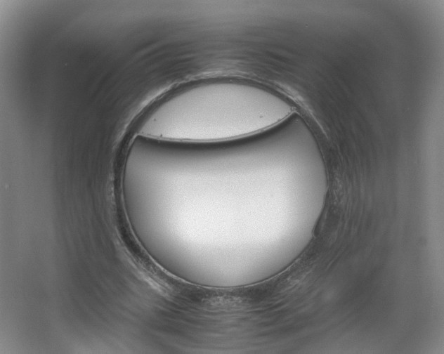 X0000067500535200604071025