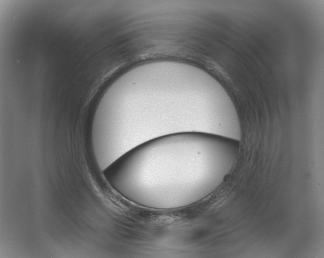 X0000067500542200604071026
