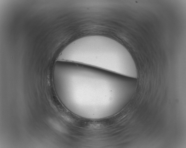 X0000067500547200604071026