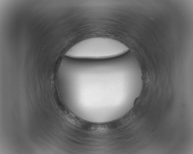 X0000067500559200604071026