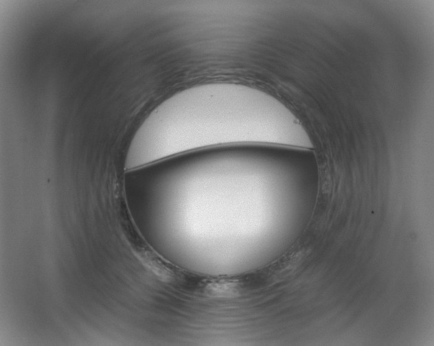 X0000067500560200604071026