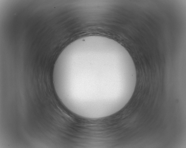 X0000067500562200604071026