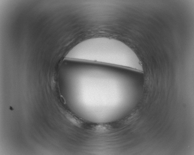 X0000067500566200604071026