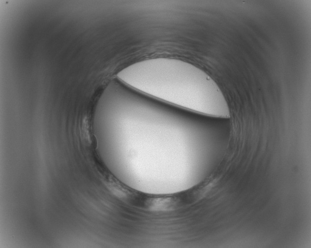 X0000067500575200604071026