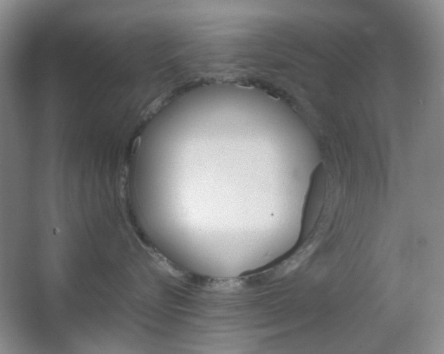 X0000067500576200604071026