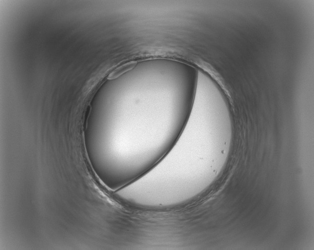 X0000067500577200604071025