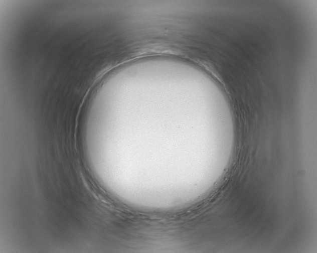 X0000067500579200604071025