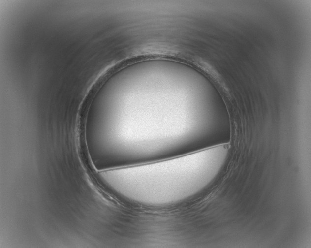 X0000067500580200604071025