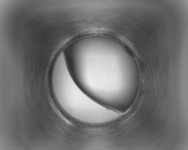 X0000067500581200604071025