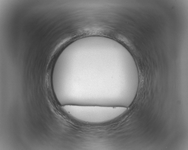 X0000067500583200604071025