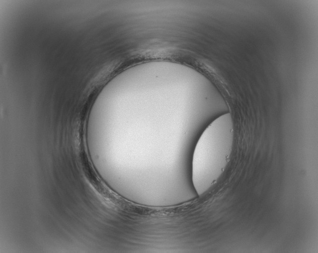 X0000067500586200604071025