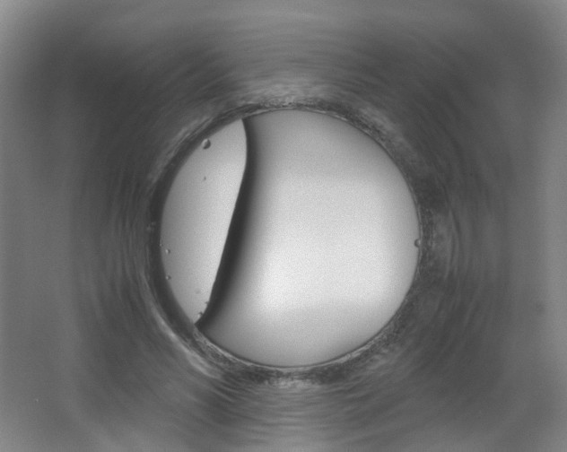 X0000067500590200604071025