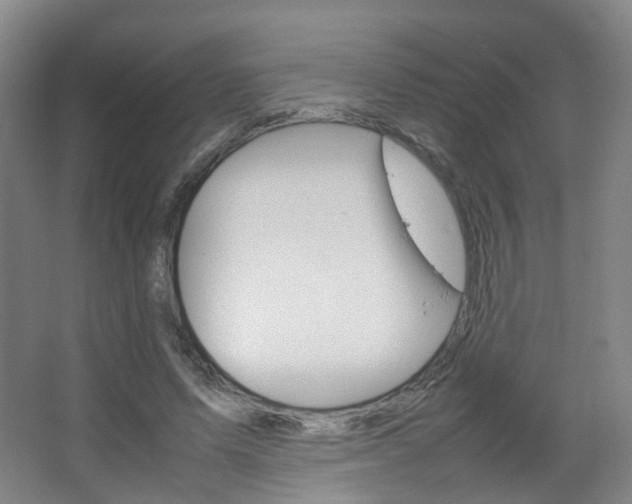 X0000067500591200604071025